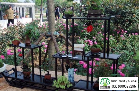2015 南陽月季展玉雕節(jié)已開幕，花已開好 君可來矣
